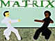 Bullet Time Fighting