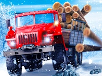Truck Driver: Snowy Roads