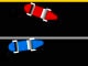 Racing Track