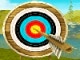 Bowmaster Target Range