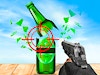 Bottle Shooting 3D