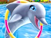 My Dolphin Show