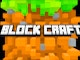 Block Craft 3D