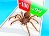 Spider Evolution