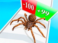 Spider Evolution